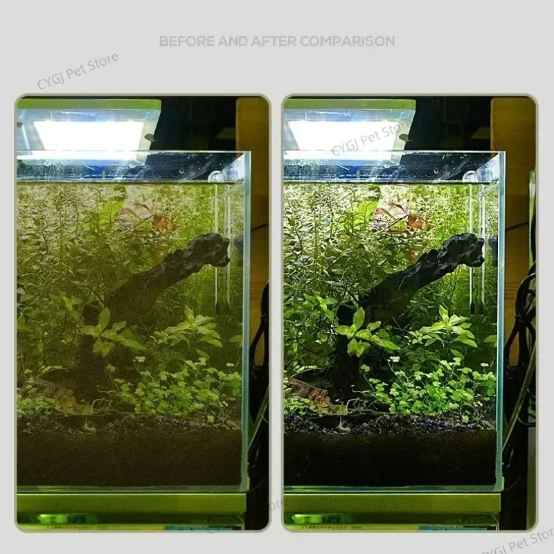 Fish Tank Cleaning Tool Flat S - огляд і ціна Marine Aquarium Glass Cleaner