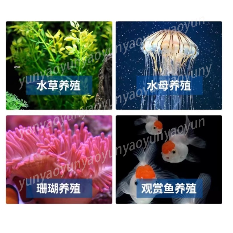Small Aquarium Chiller Compres - огляд і ціна Marine Aquarium Chiller