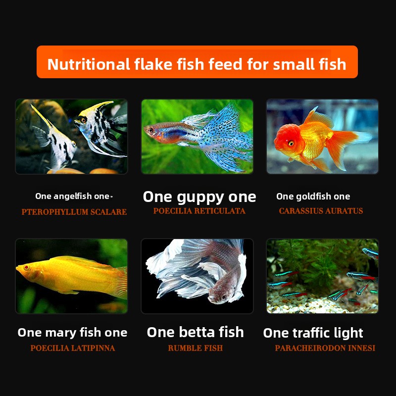 DaJiaWa Spirulina Flake Fish F - огляд і ціна Tetra Food Tropical Flakes