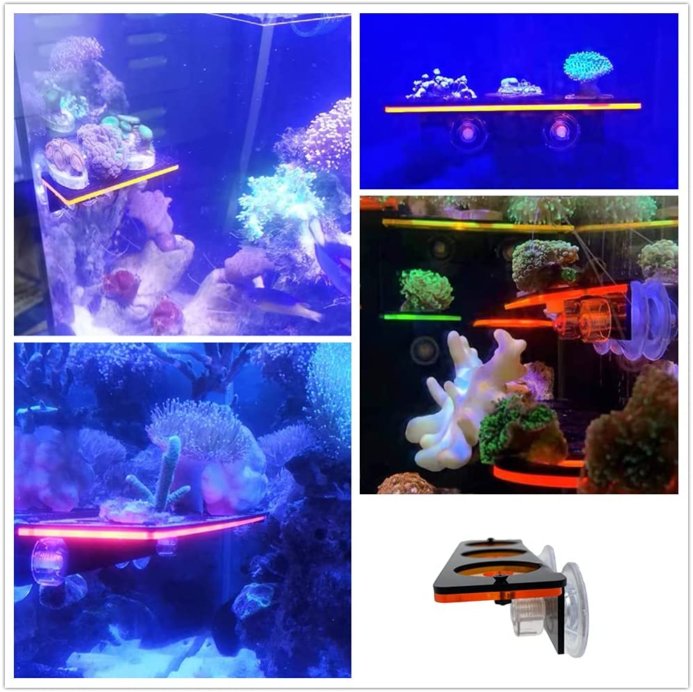 Fluorescent Coral Frag Plug Br - огляд і ціна Marine Aquarium Aquascape