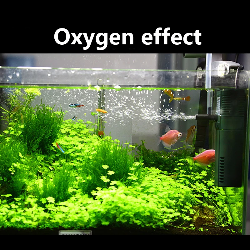 SUNSUN mini nano 111B 311B 611 - огляд і ціна Marine Aquarium Chiller